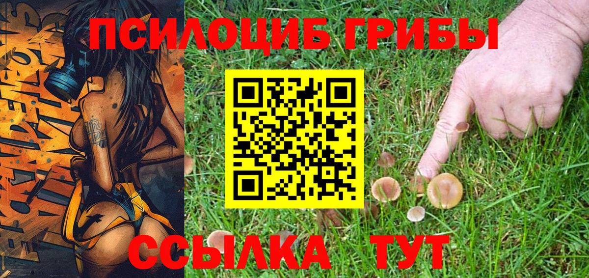Псилоцибиновые грибы мухоморы Уссурийск