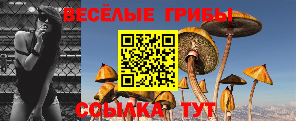 Уссурийск  закладка  Вход с VPN  Псилоцибиновые грибы Magic Shrooms 